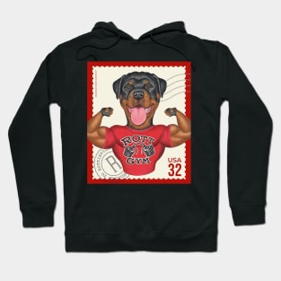 Funny Rottweiler with muscles on classic stamp Hoodie